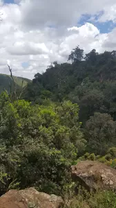 church anniversary themes