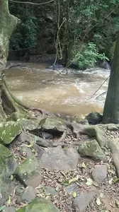 church anniversary themes