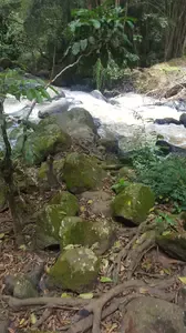 Looking for women's day themes for church? Find wonderful themes that we have prepared for the occasion that you can use