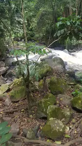 Here is a closing prayer for church service? Get the sample prayer in this page