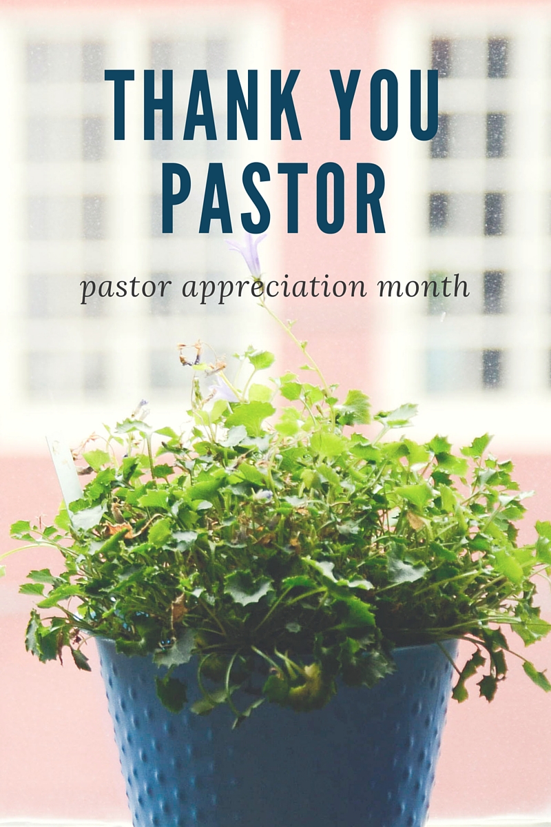 Looking for pastor and wife appreciation programs ideas for the church. Here are some ideas for the occasion