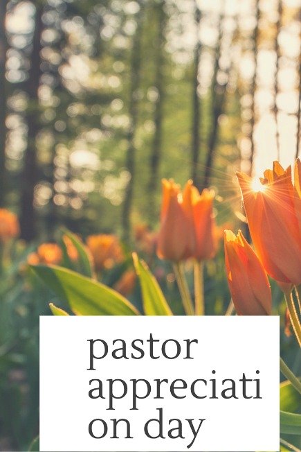 Looking for sample appreciation letter for pastors to appreciate the guest pastor who spoke recently in an occasion in the church