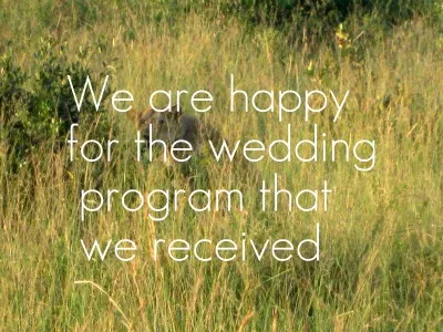 Looking for a church wedding program script to guide and help as you prepare the wedding program for the upcoming event